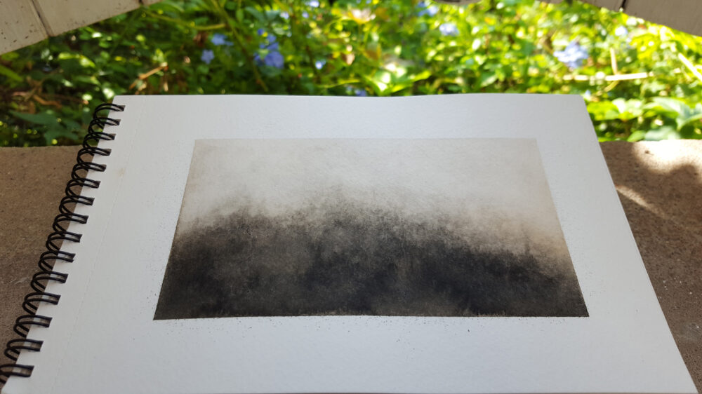 Sun but mist ©PeggyAnnMourot