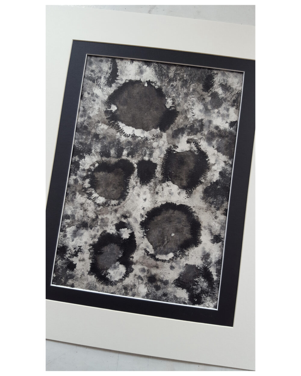 Fossils ~ Dessin à l'Encre de Chine ~ 40x50 Encadré ~ Série "Ichtus" – Image 9