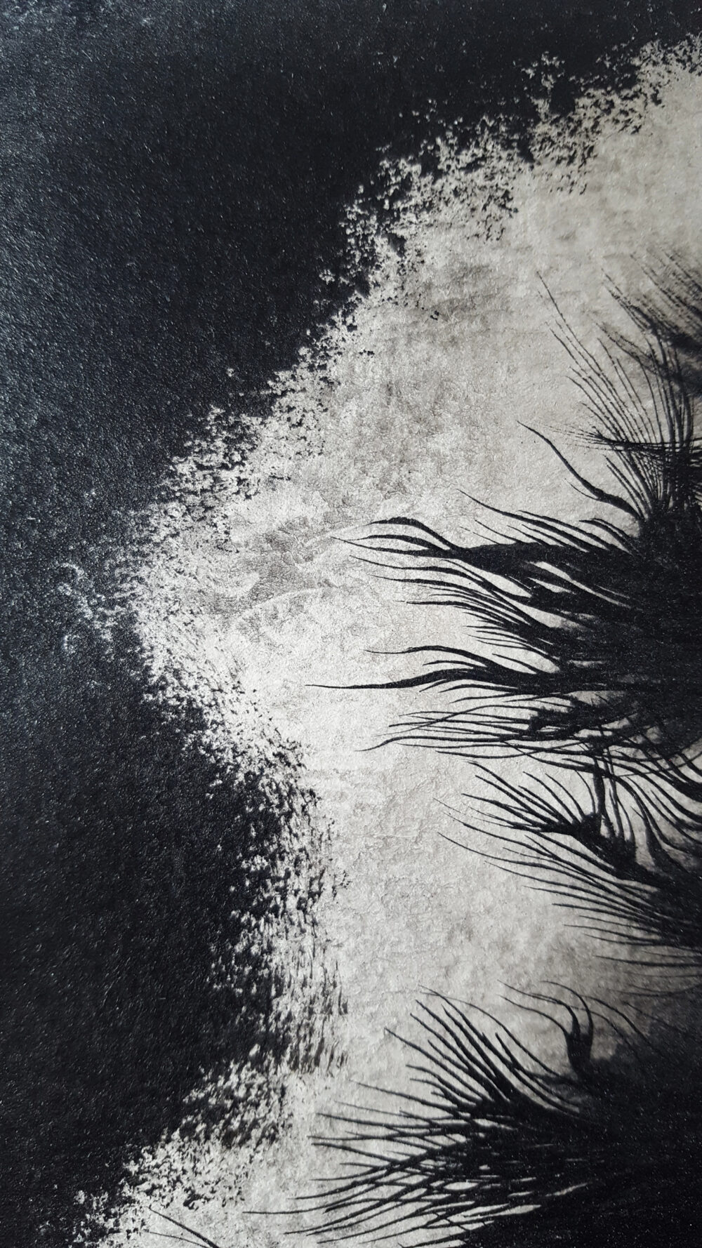 Cocon ©PeggyAnnMourot