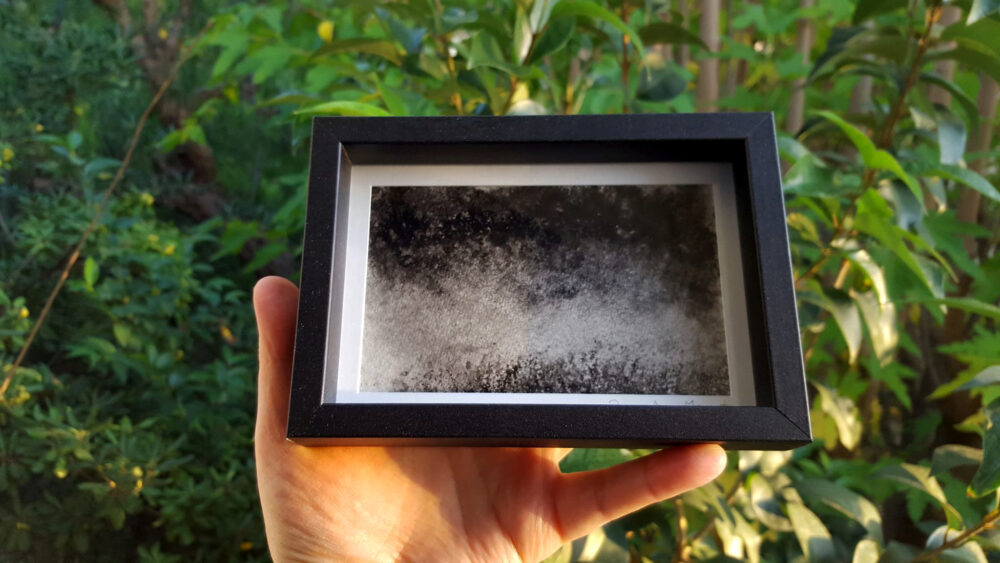 Garden #1 ~ Dessin à l'Encre de Chine ~ 10x15 Encadré ~ SOLD OUT – Image 2