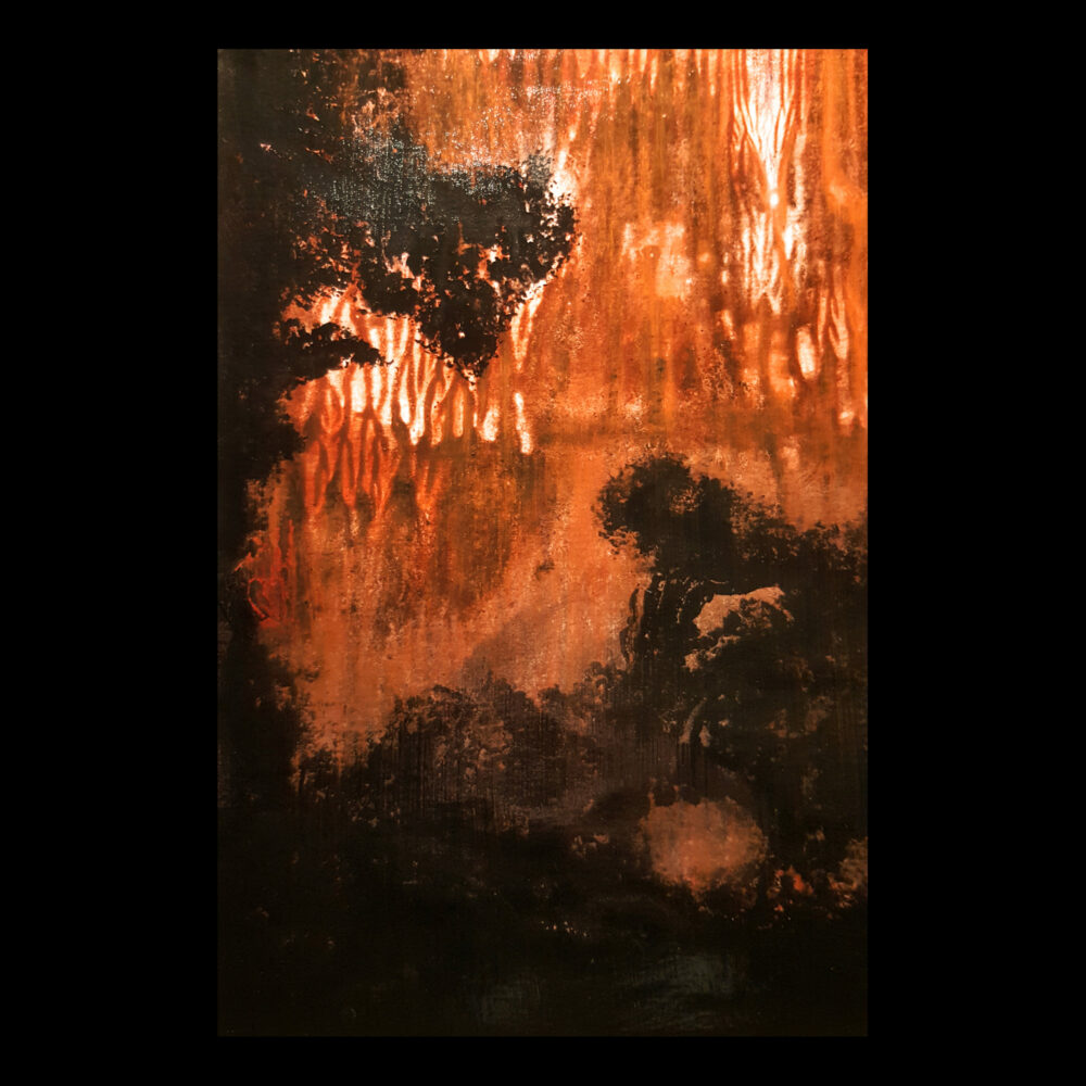 Carte Blanche ~ 100€/an