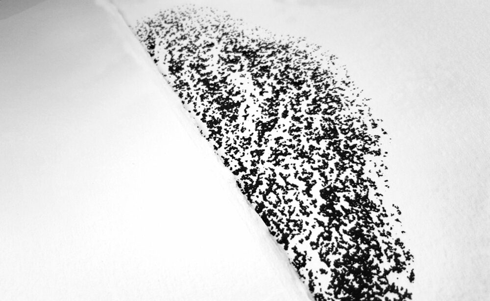 Sérigraphie Morchella Conica (Morille) ~ Velin d’Arches 250g ~ N°&Signée Limitée à 20ex ~ 30x40 Encadrée – Image 11
