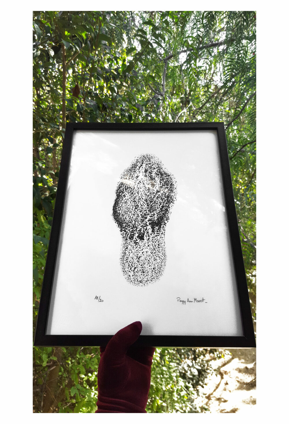 Sérigraphie Morchella Conica (Morille) ~ Velin d’Arches 250g ~ N°&Signée Limitée à 20ex ~ 30x40 Encadrée