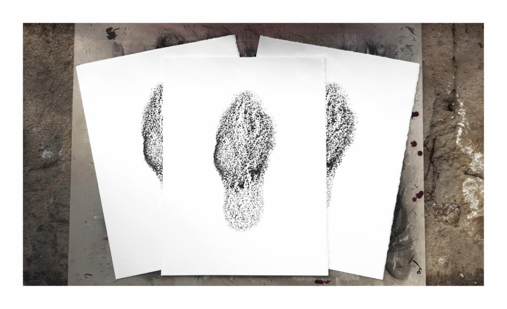 Sérigraphie Morchella Conica (Morille) ~ Velin d’Arches 250g ~ N°&Signée Limitée à 20ex ~ 30x40 Encadrée – Image 9