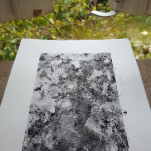 Abstractions-©PeggyAnnMourot