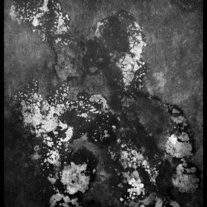 The Plague ©PeggyAnnMourot