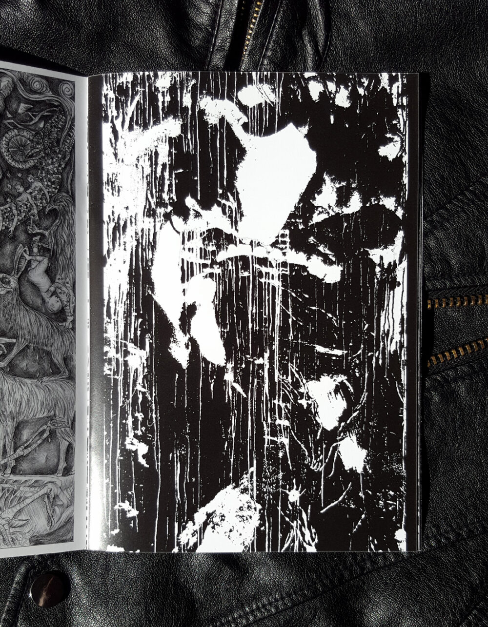 EEEEEE + CD The Emptiness + ExLibris Linogravure ~ N° & Signés – Image 8
