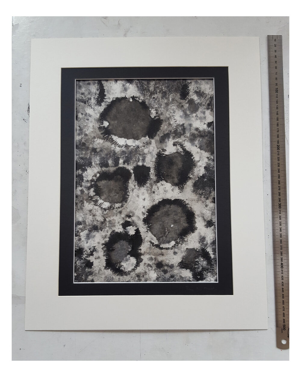 Fossils ~ Dessin à l'Encre de Chine ~ 40x50 Encadré ~ Série "Ichtus" – Image 6
