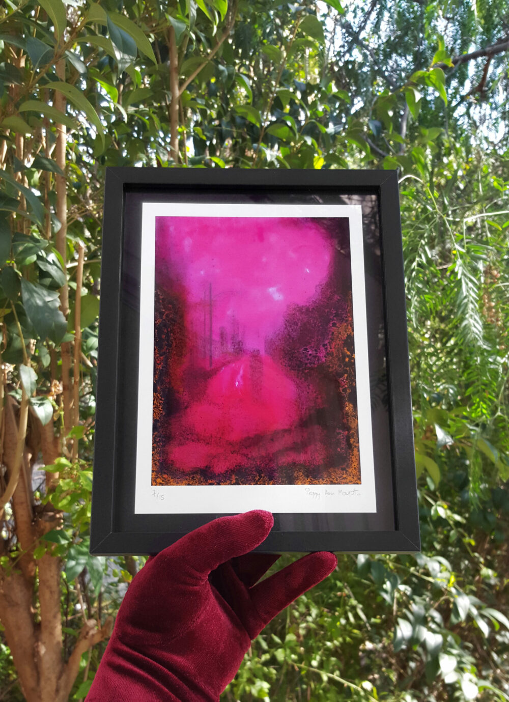 ExLibris Proton ~ Limité à 15ex N°Signé ~ 18x24 Encadré – Image 2