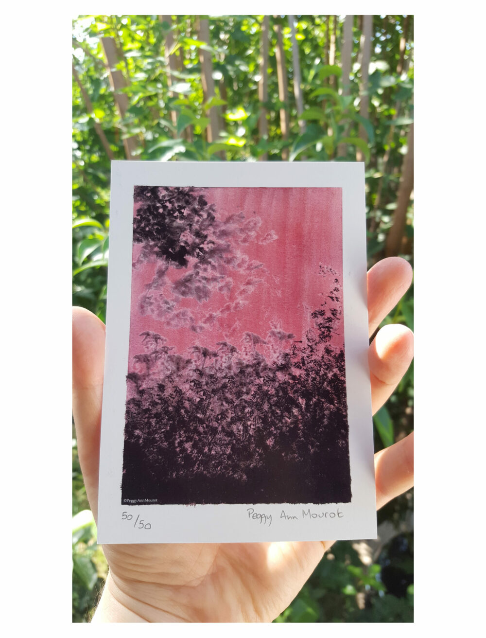 Cartes Postales Japanese Spring ~ Limitées à 50ex N°Signées