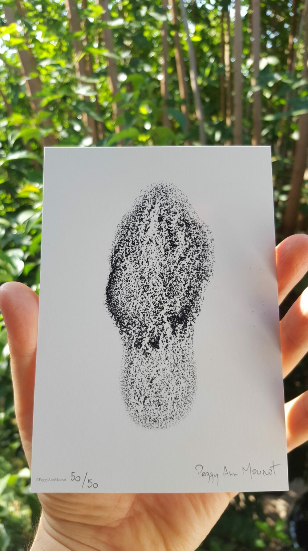 Cartes Postales Morchella Conica ~ Limitées à 50ex N°Signées – Image 2