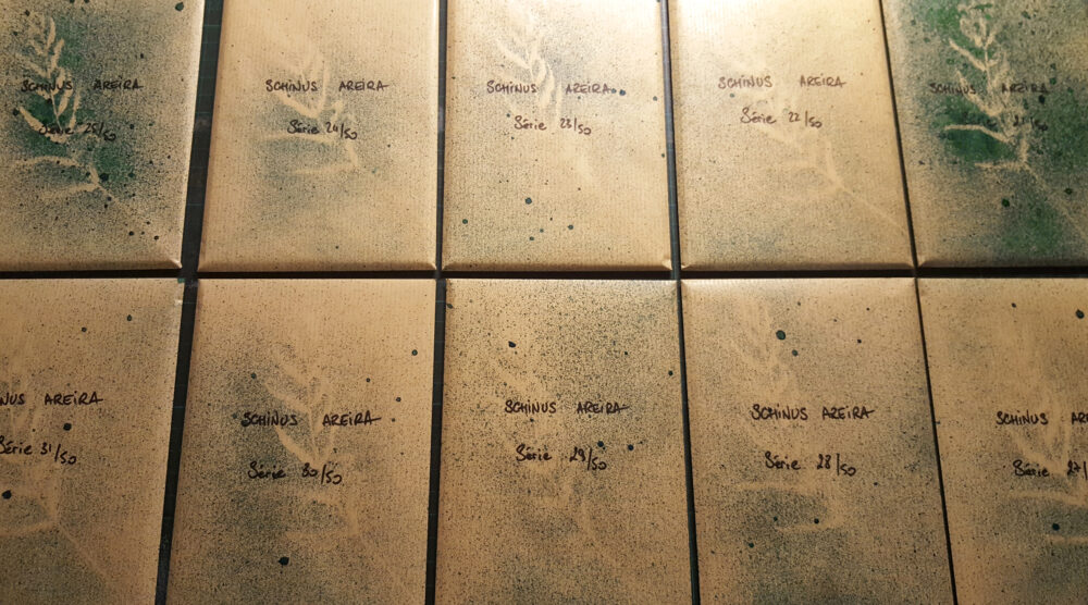 4 Séries Complètes ~ 31 Cartes Limitées N°&Signées (+2 cartes surprise) – Image 2