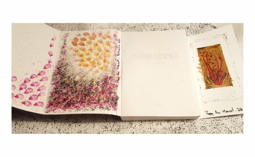 Toxoplasma Dédicacé + Exlibris Édition Limitée N° à 17ex ~ Éditions La Volte – Image 5