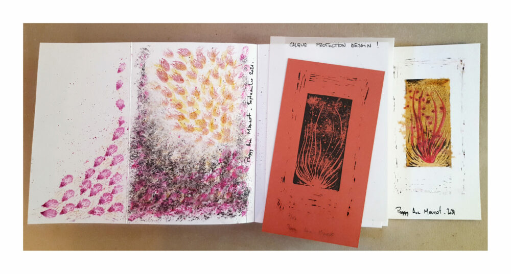 Toxoplasma Dédicacé + Exlibris Édition Limitée N° à 17ex ~ Éditions La Volte – Image 6