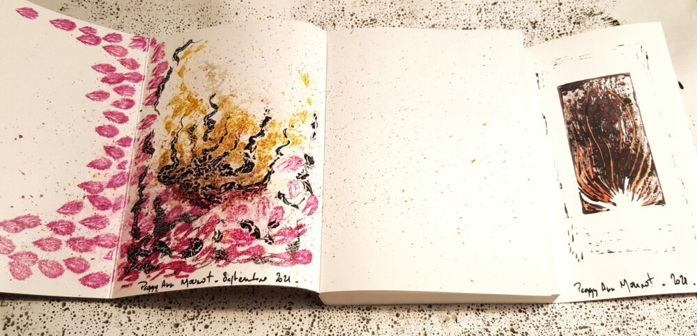 Toxoplasma Dédicacé + Exlibris Édition Limitée N° à 17ex ~ Éditions La Volte – Image 4