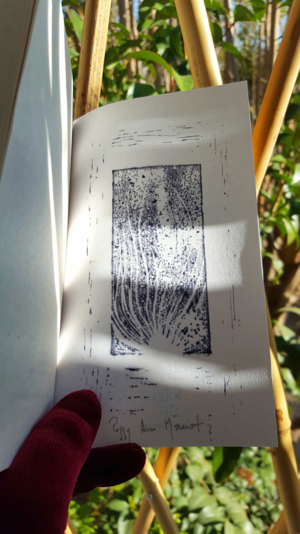 Toxoplasma Dédicacé + Exlibris Édition Limitée N° à 17ex ~ Sabrina Calvo c/° Folio Gallimard – Image 8
