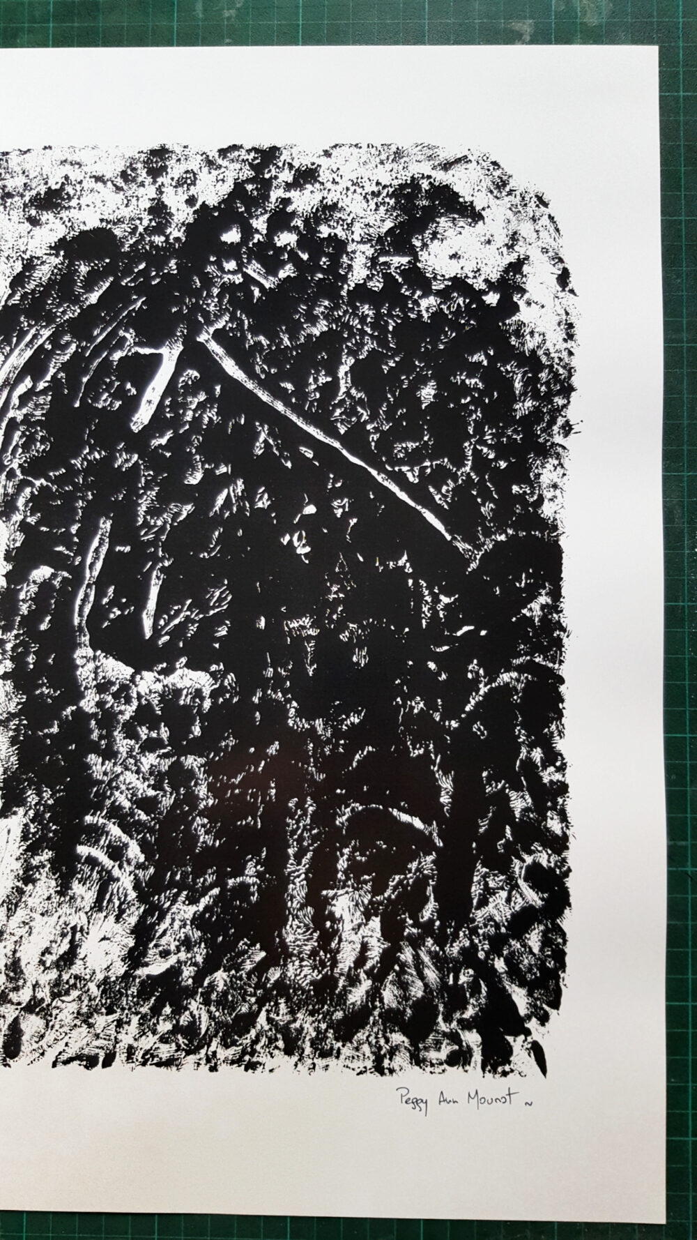 Affiche "Ossuary" ~ Limitée à 6ex ~ N°Signée ~ 32x45cm/250g – Image 12