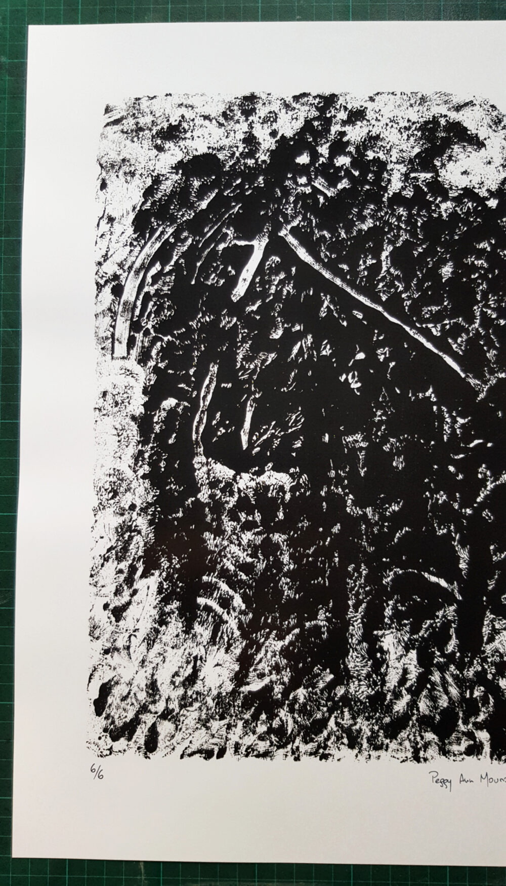 Affiche "Ossuary" ~ Limitée à 6ex ~ N°Signée ~ 32x45cm/250g – Image 11