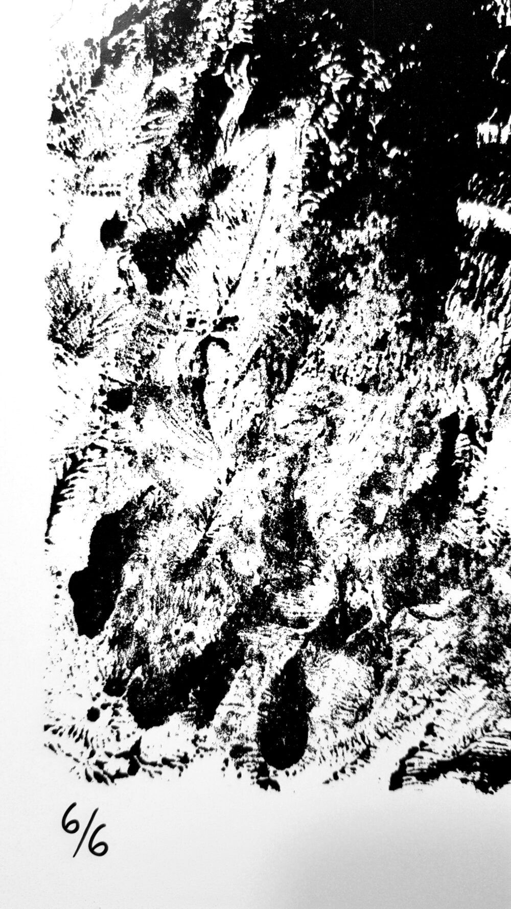 Affiche "Ossuary" ~ Limitée à 6ex ~ N°Signée ~ 32x45cm/250g – Image 7