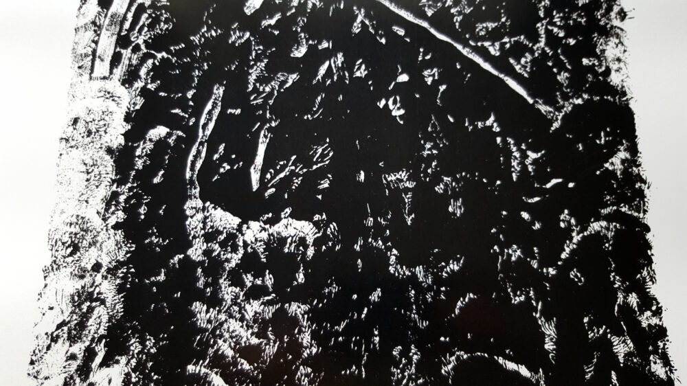 Affiche "Ossuary" ~ Limitée à 6ex ~ N°Signée ~ 32x45cm/250g – Image 16