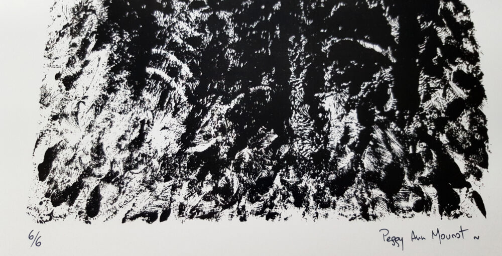 Affiche "Ossuary" ~ Limitée à 6ex ~ N°Signée ~ 32x45cm/250g – Image 17