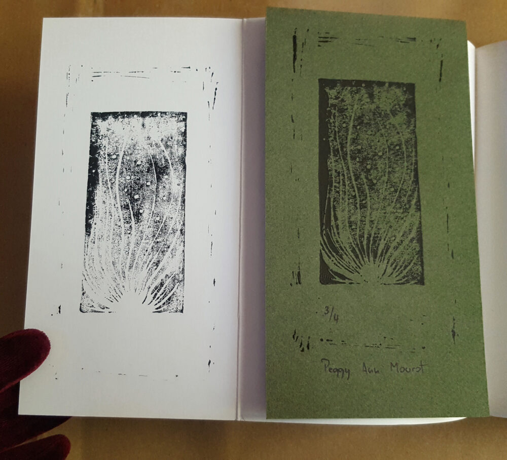 Toxoplasma Dédicacé + Exlibris Édition Limitée N° à 17ex ~ Éditions La Volte – Image 15