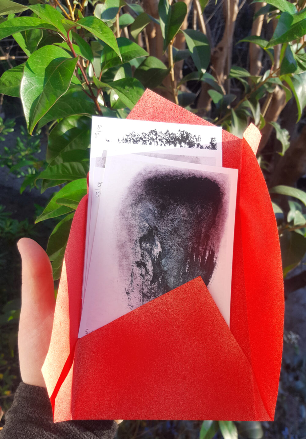 Série GRYYYM ~ 4 Cartes Postales Limitées à 50 ex N°&Signées (+ 1 Carte surprise) – Image 4