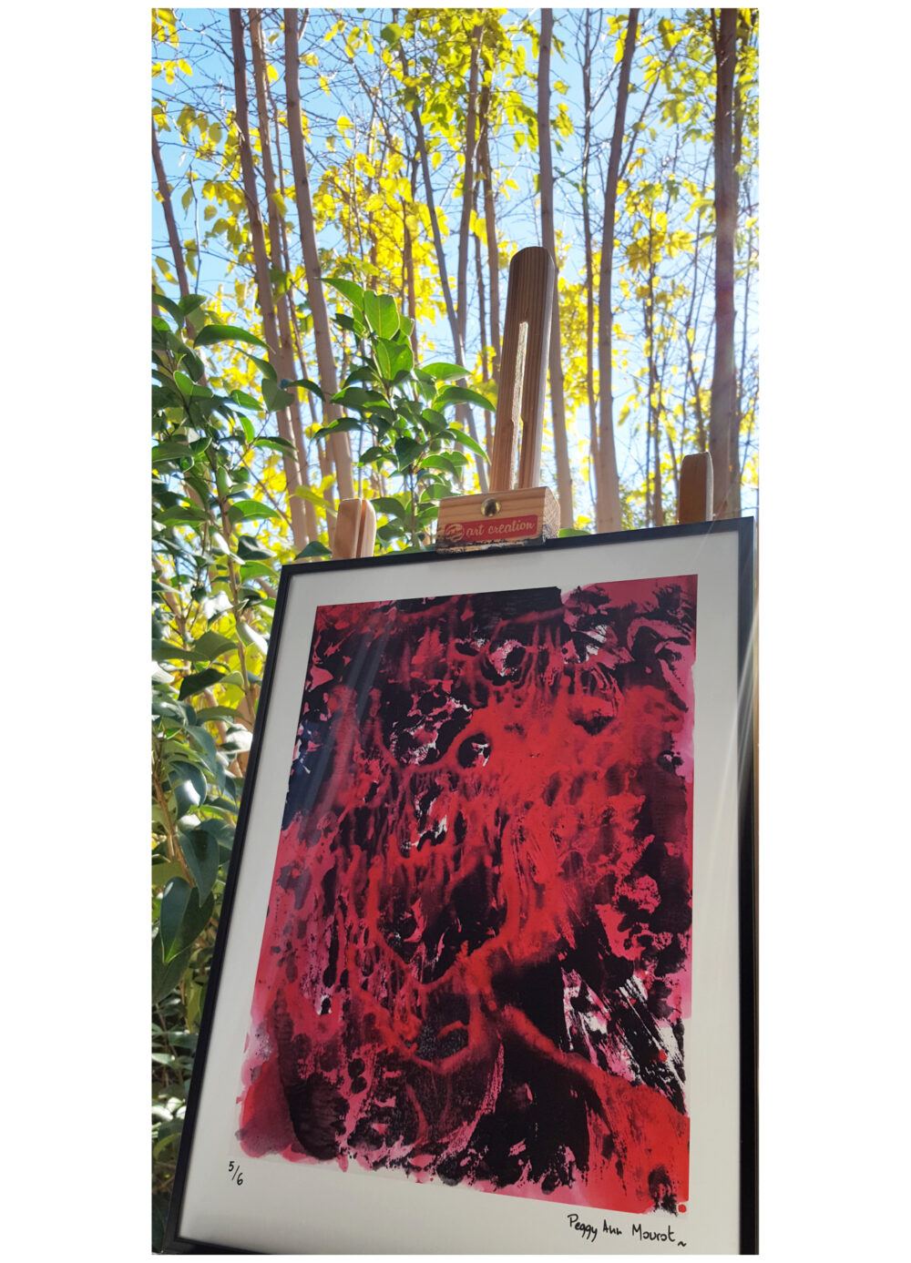 Affiche "Les Signes Démentiels" Couleur ~ Limitée à 6ex ~ N°Signée ~ 30x40 Encadrée – Image 2
