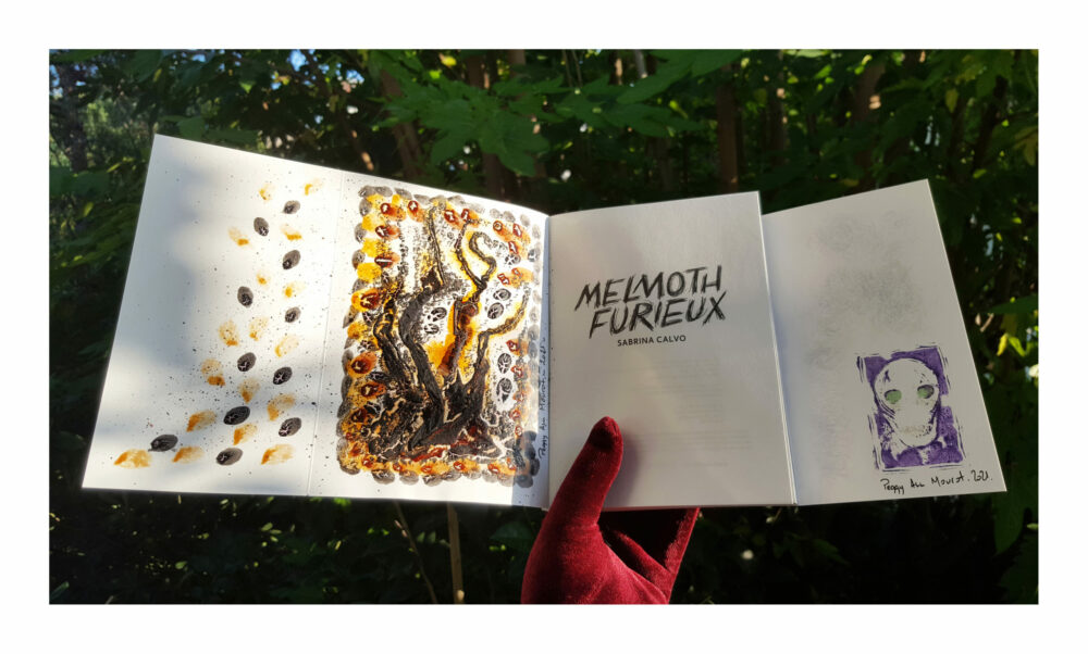 Melmoth Furieux ~ Éditions La Volte ~ Roman de Sabrina Calvo illustré & dédicacé par mes soins + Carte Postale Limitée Signée – Image 4