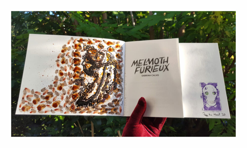 Melmoth Furieux ~ Éditions La Volte ~ Roman de Sabrina Calvo illustré & dédicacé par mes soins + Carte Postale Limitée Signée – Image 6