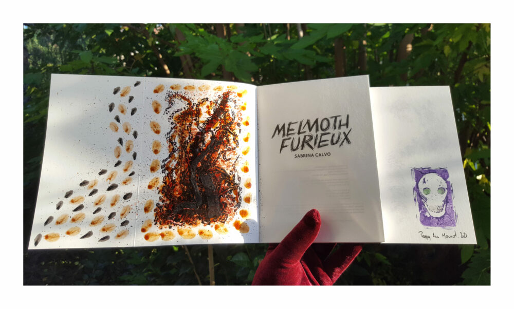 Melmoth Furieux ~ Éditions La Volte ~ Roman de Sabrina Calvo illustré & dédicacé par mes soins + Carte Postale Limitée Signée – Image 7