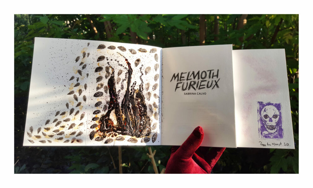 Melmoth Furieux ~ Éditions La Volte ~ Roman de Sabrina Calvo illustré & dédicacé par mes soins + Carte Postale Limitée Signée – Image 5
