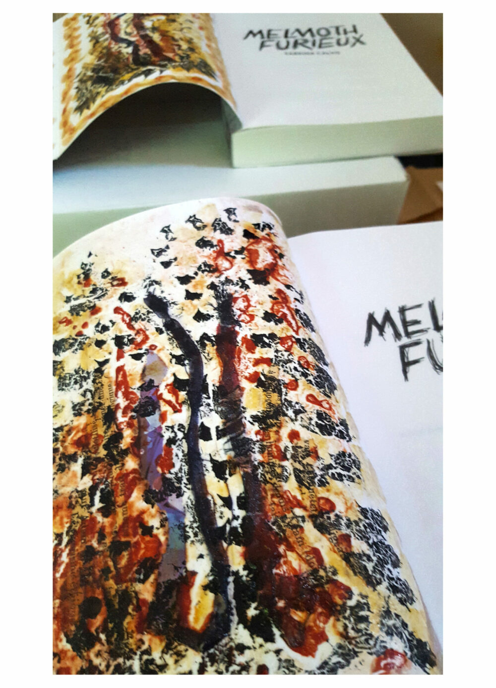 Melmoth Furieux ~ Éditions La Volte ~ Roman de Sabrina Calvo illustré & dédicacé par mes soins + Carte Postale Limitée Signée – Image 2