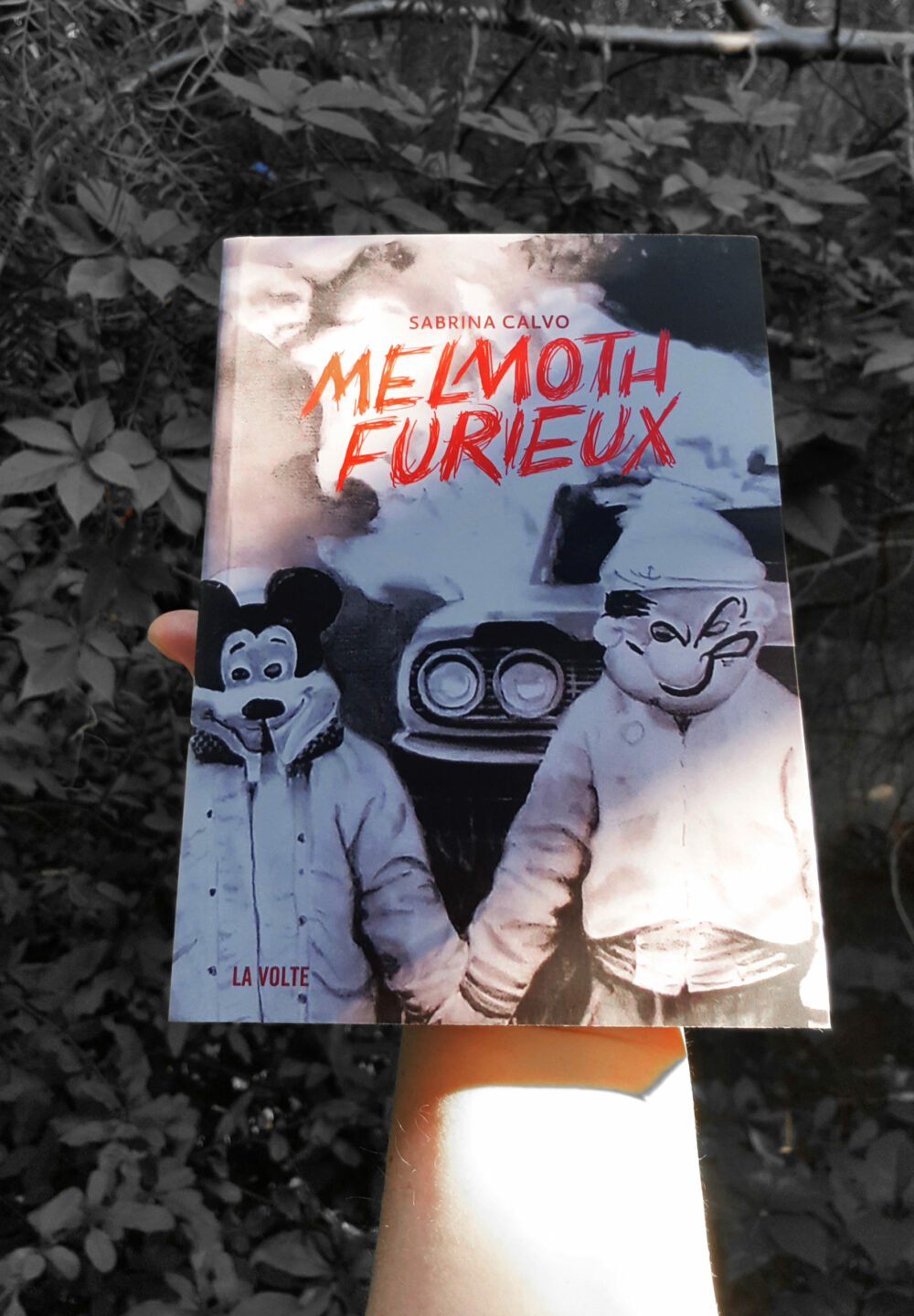 Melmoth Furieux ~ Éditions La Volte ~ Roman de Sabrina Calvo illustré & dédicacé par mes soins + Carte Postale Limitée Signée – Image 14