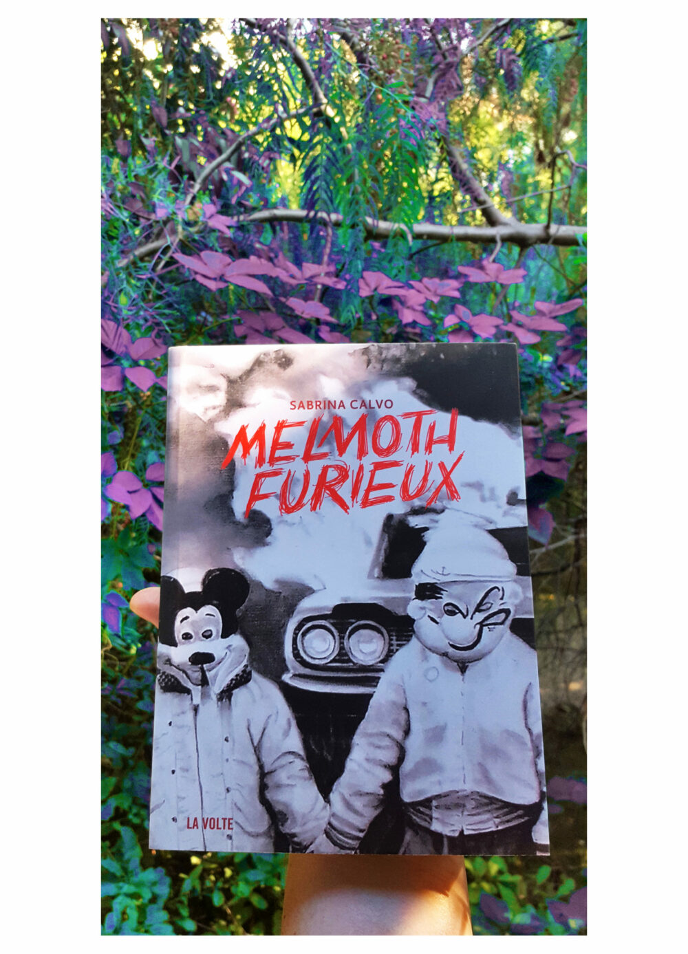 Melmoth Furieux ~ Éditions La Volte ~ Roman de Sabrina Calvo illustré & dédicacé par mes soins + Carte Postale Limitée Signée – Image 11
