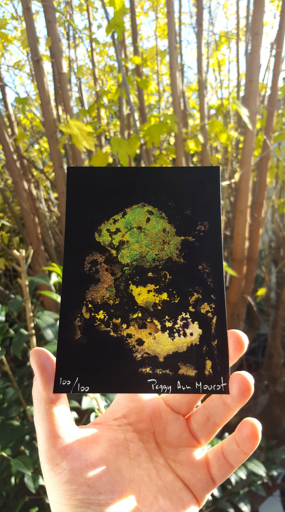 Cartes Postales L'Arbre d'Ys ~ Limitées à 100ex N°Signées – Image 3
