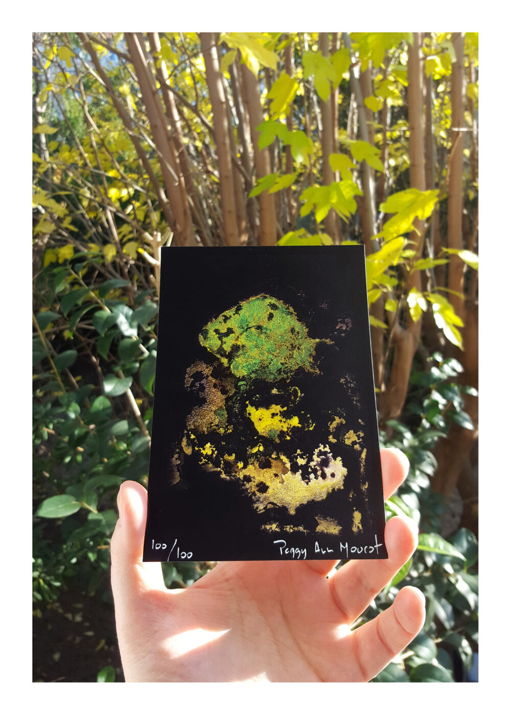 Cartes Postales L'Arbre d'Ys ~ Limitées à 100ex N°Signées