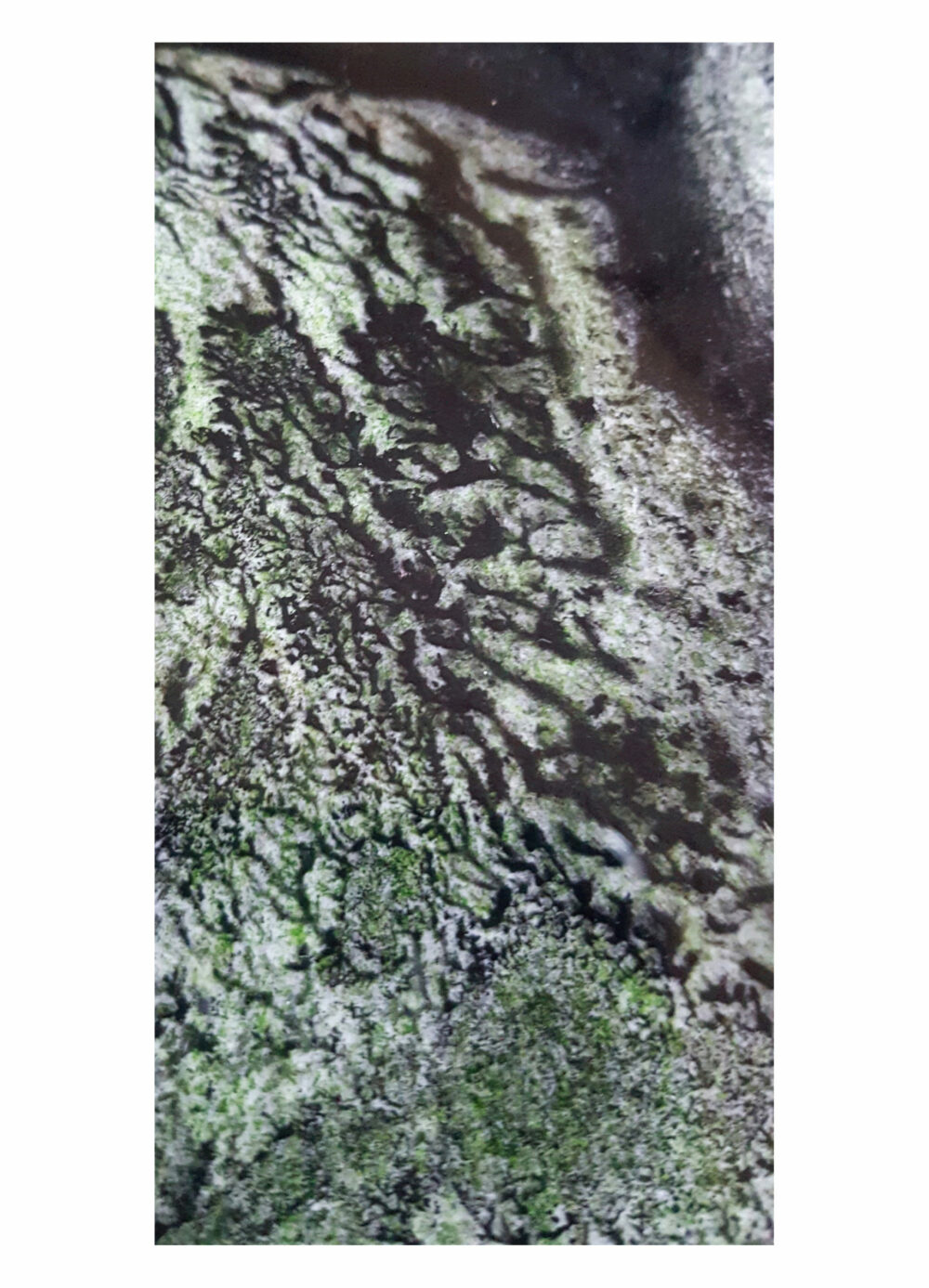 Petrified ~ Dessin à l’Encre de Chine, Acrylique & Aquarelle ~ Encadré Métal A4 ~ SOLD OUT – Image 7