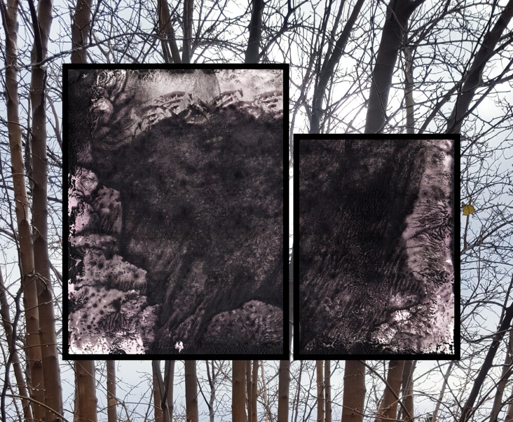 Diptyque "Sombre" I & II ~ Encre de Chine & Acrylique ~ 18x24 & 13x18 Encadrés
