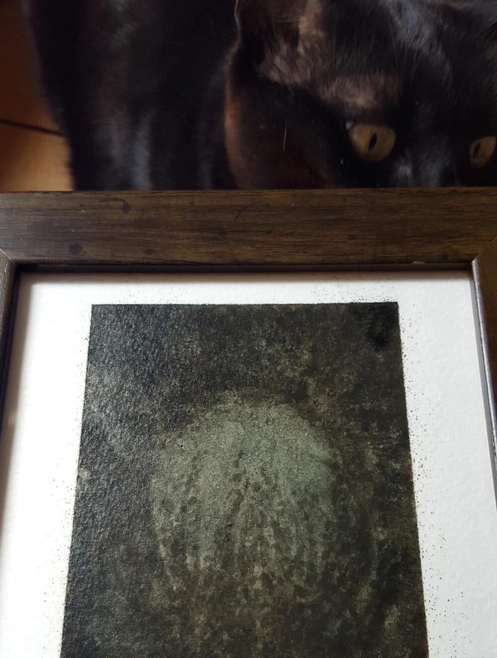 Cthulhu & The Cat ~ Encre de Chine & Acrylique ~ 13x18 Encadré bois vert – Image 9