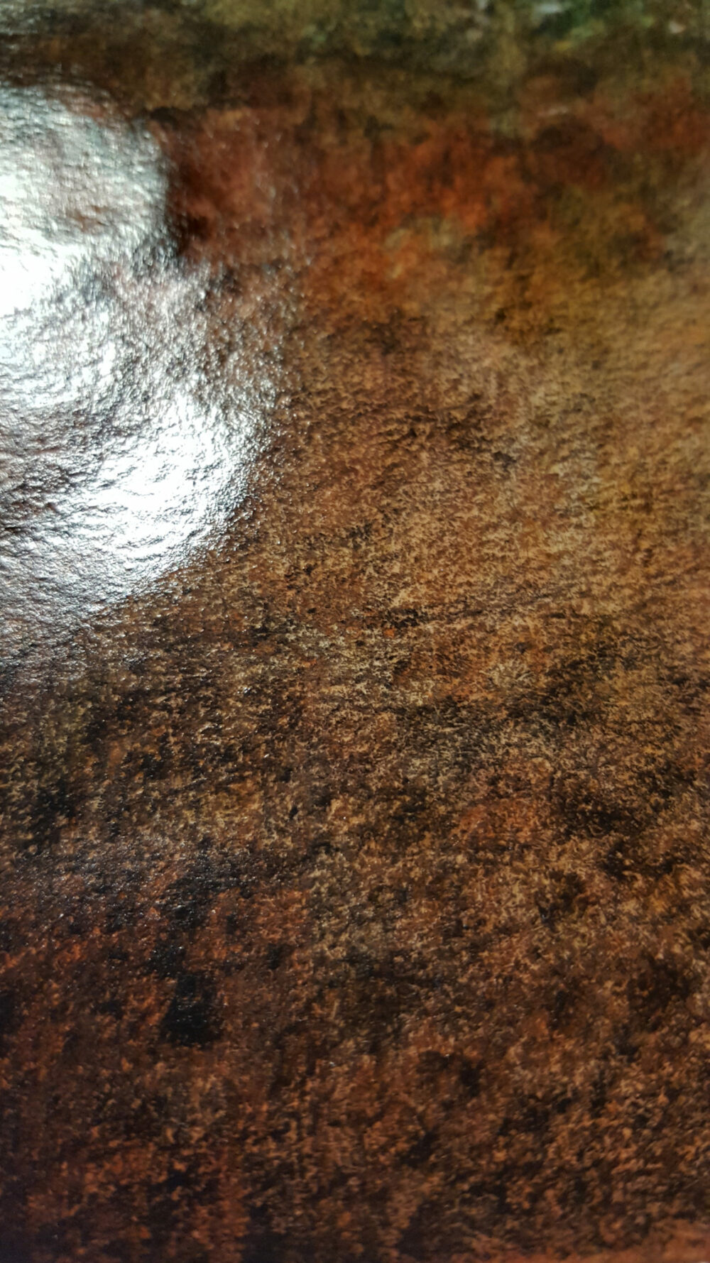 Dingo ~ Aquarelle, Encre de Chine & Pastels ~ Encadré A4 Bois Naturel ~ SOLD OUT – Image 5