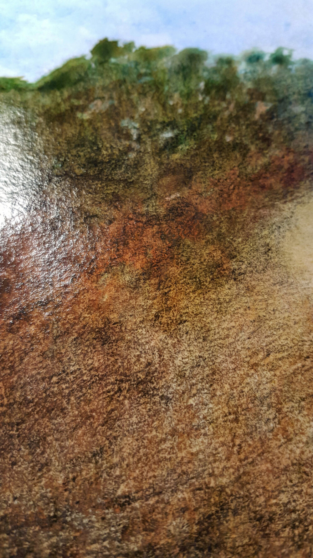 Dingo ~ Aquarelle, Encre de Chine & Pastels ~ Encadré A4 Bois Naturel ~ SOLD OUT – Image 6
