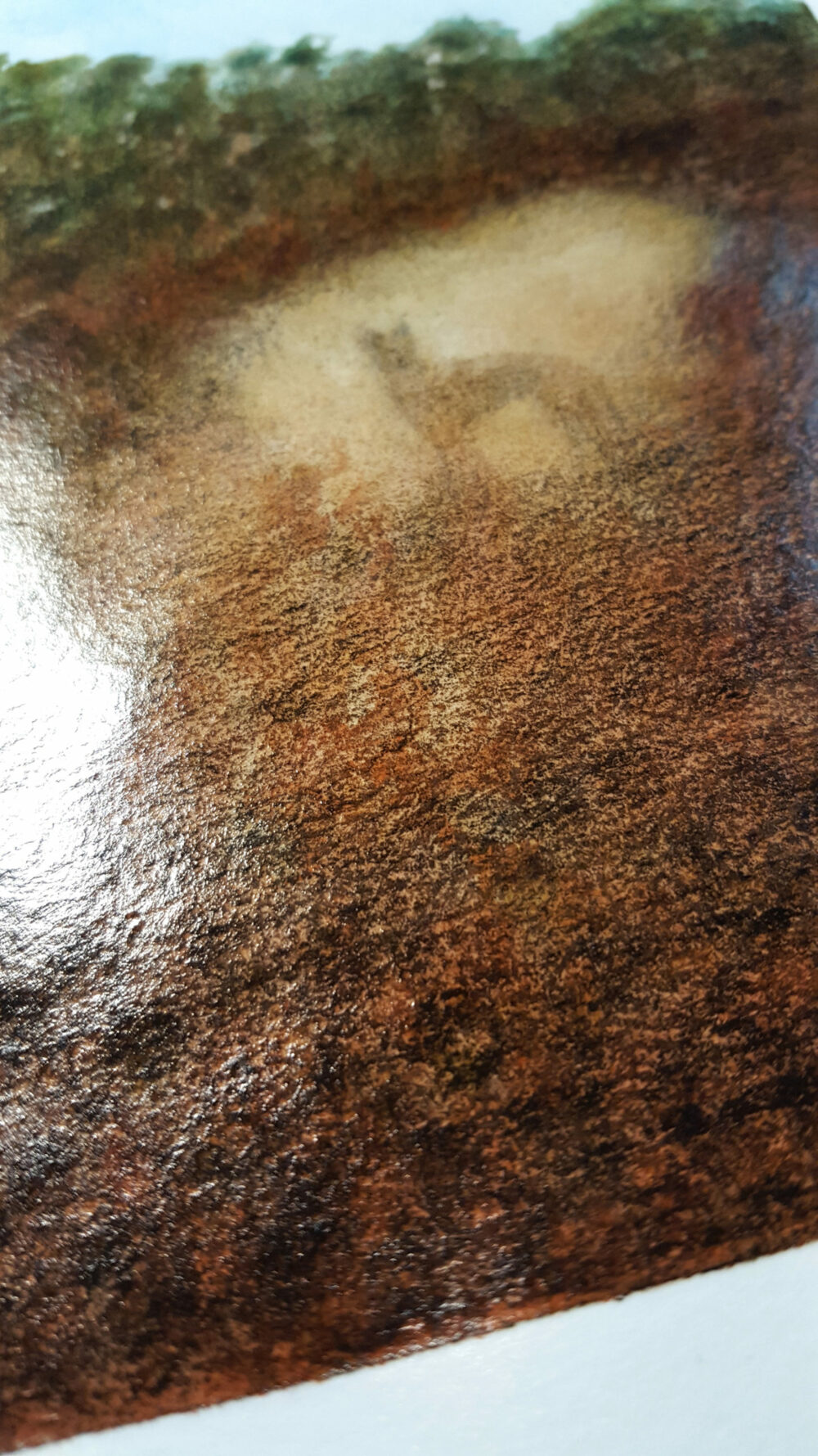 Dingo ~ Aquarelle, Encre de Chine & Pastels ~ Encadré A4 Bois Naturel ~ SOLD OUT – Image 7