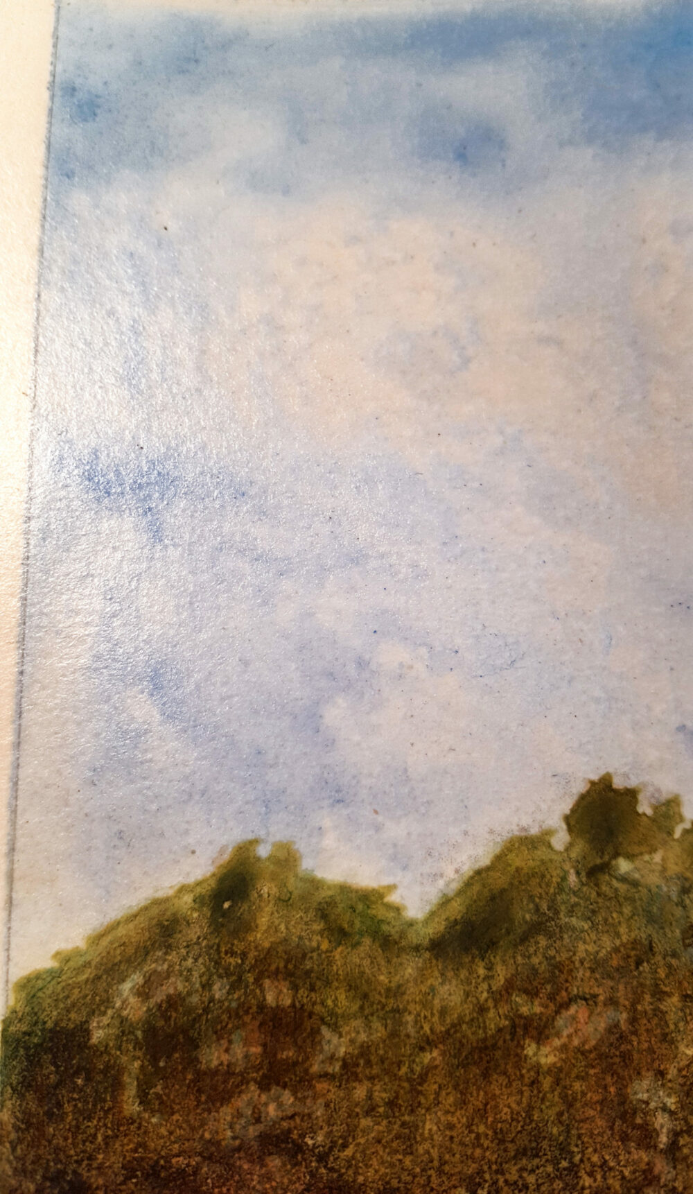 Dingo ~ Aquarelle, Encre de Chine & Pastels ~ Encadré A4 Bois Naturel ~ SOLD OUT – Image 14