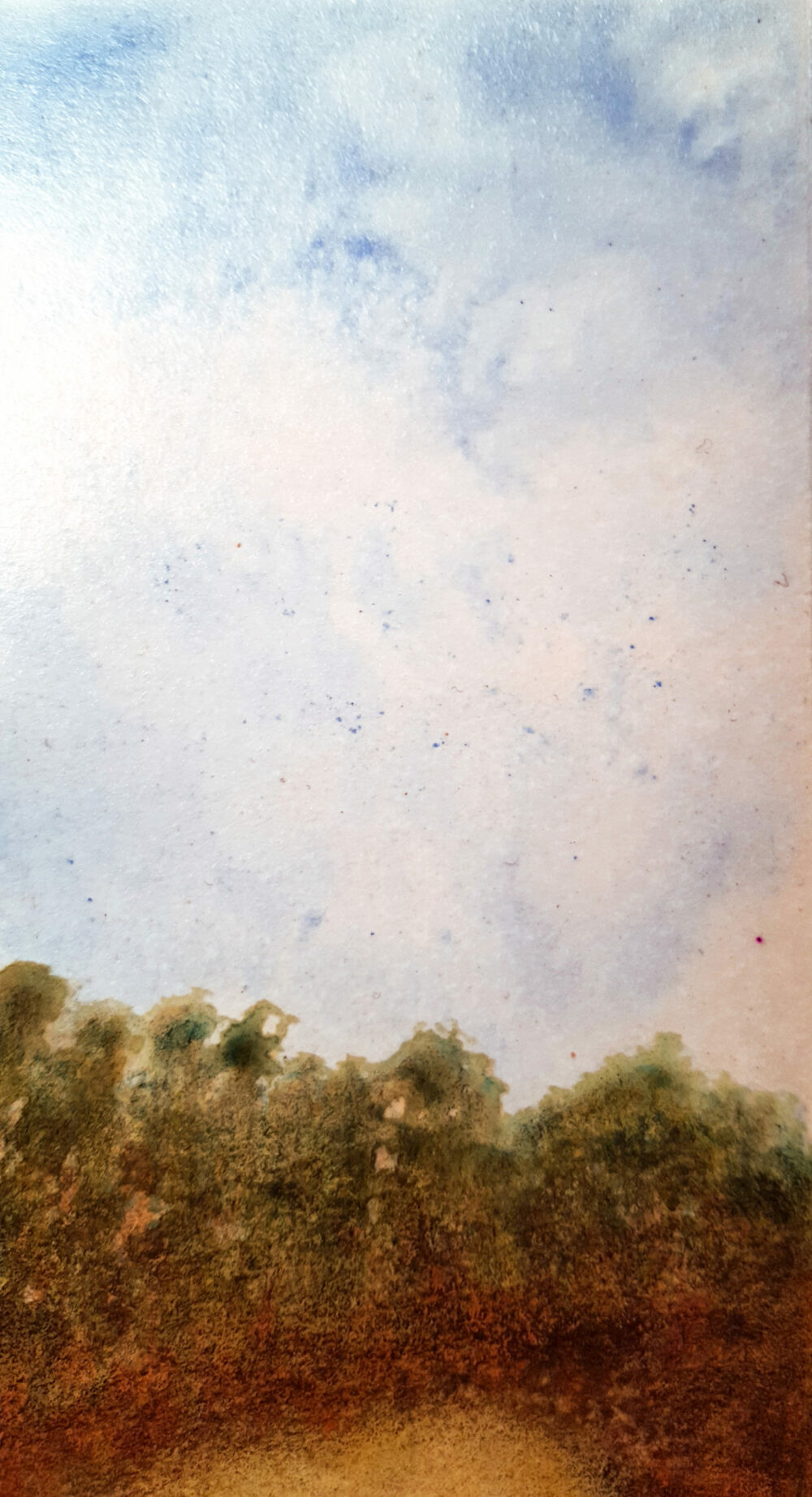 Dingo ~ Aquarelle, Encre de Chine & Pastels ~ Encadré A4 Bois Naturel ~ SOLD OUT – Image 13
