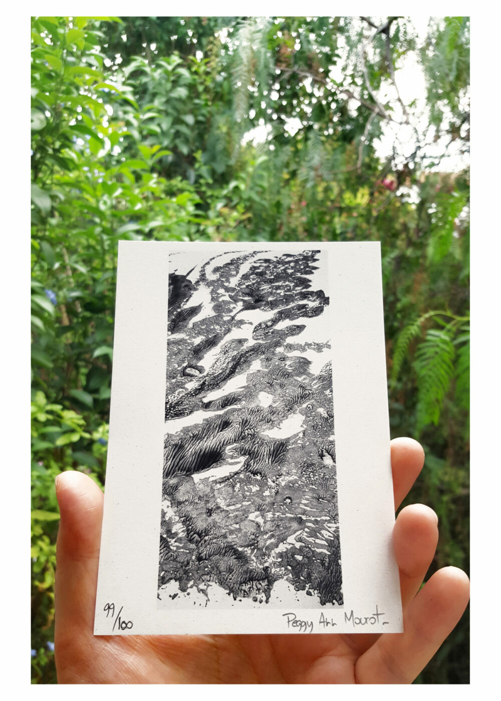 Cartes Postales Alga Carta L'odeur de la pierre I (A) ~ Limitées à 100ex N°Signées