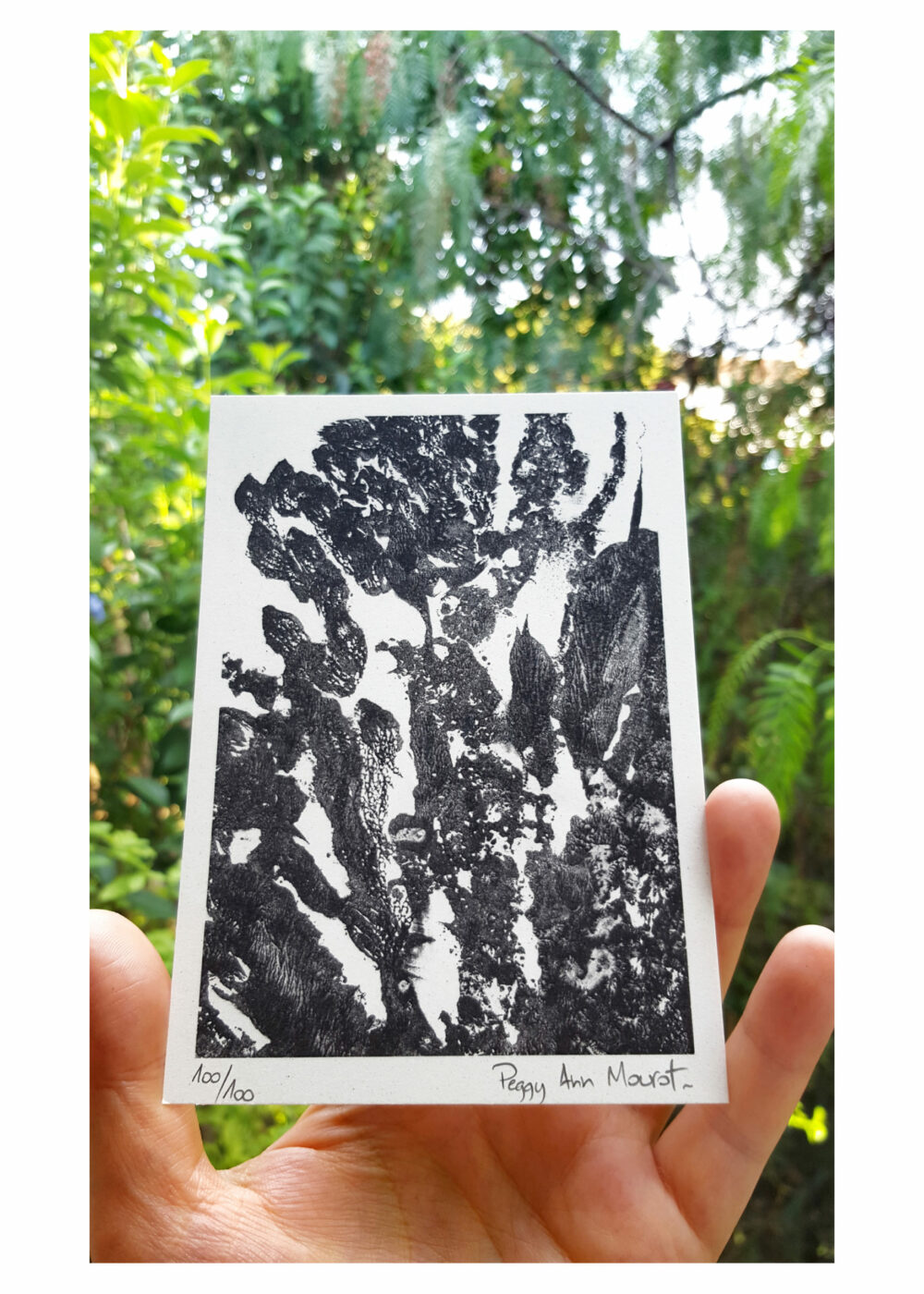 Cartes Postales Alga Carta L'odeur de la pierre I (B) ~ Limitées à 100ex N°Signées