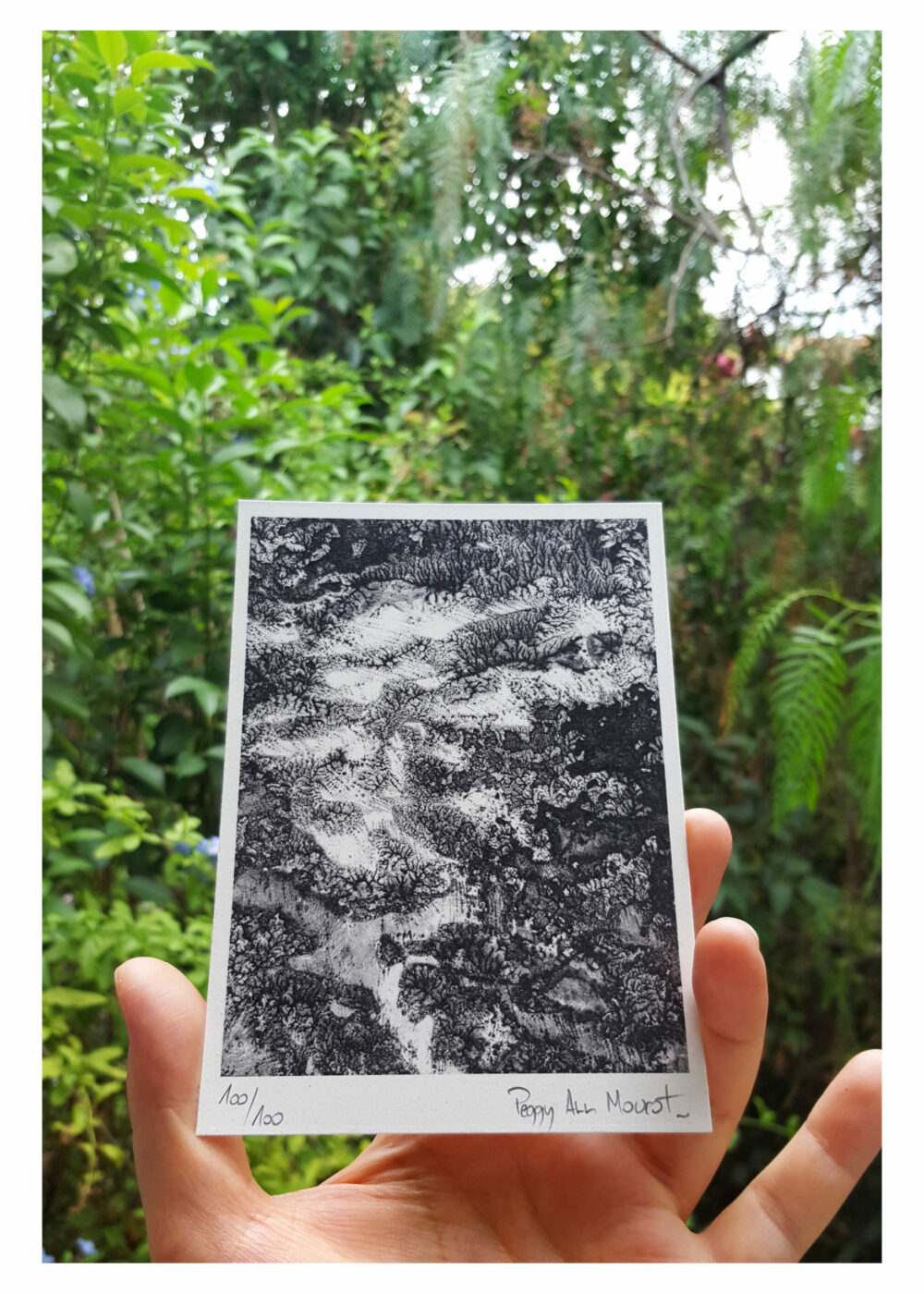 Cartes Postales Alga Carta L'odeur de la pierre III (B) ~ Limitées à 100ex N°Signées