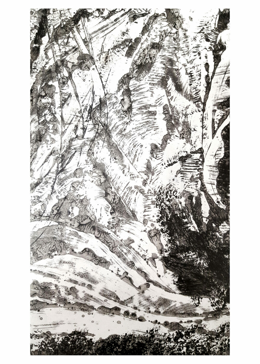 Lithographie L’Odeur de la Pierre II ~ Édition Limitée à 30ex N°& Signés sur papier BFK Rives 300g ~ Format 40x60 – Image 30