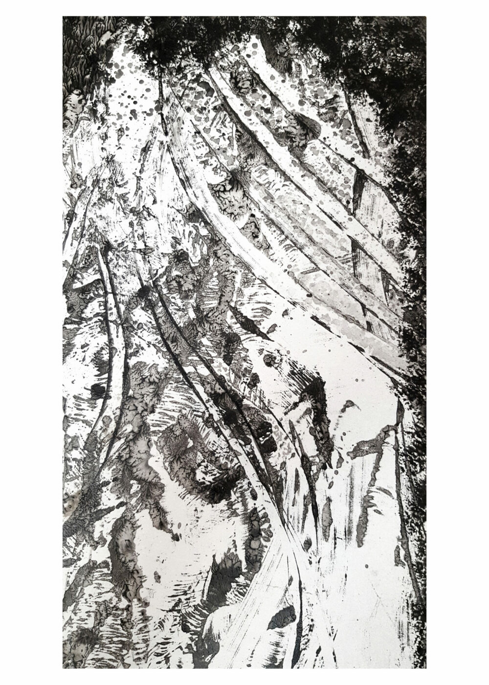Lithographie L’Odeur de la Pierre II ~ Édition Limitée à 30ex N°& Signés sur papier BFK Rives 300g ~ Format 40x60 – Image 31
